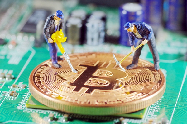 石二群最終宣判結(jié)果（駐馬店石二群判了多少年）